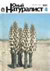 Юный натуралист №04/1991 — обложка книги.